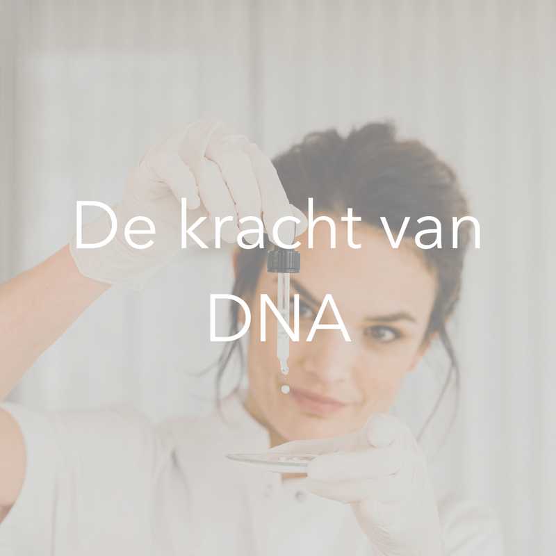 De kracht van DNA